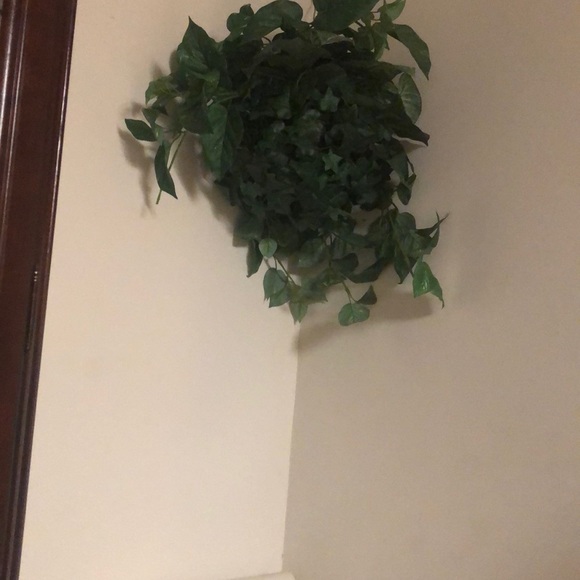 $25 - Picture 1 of 1